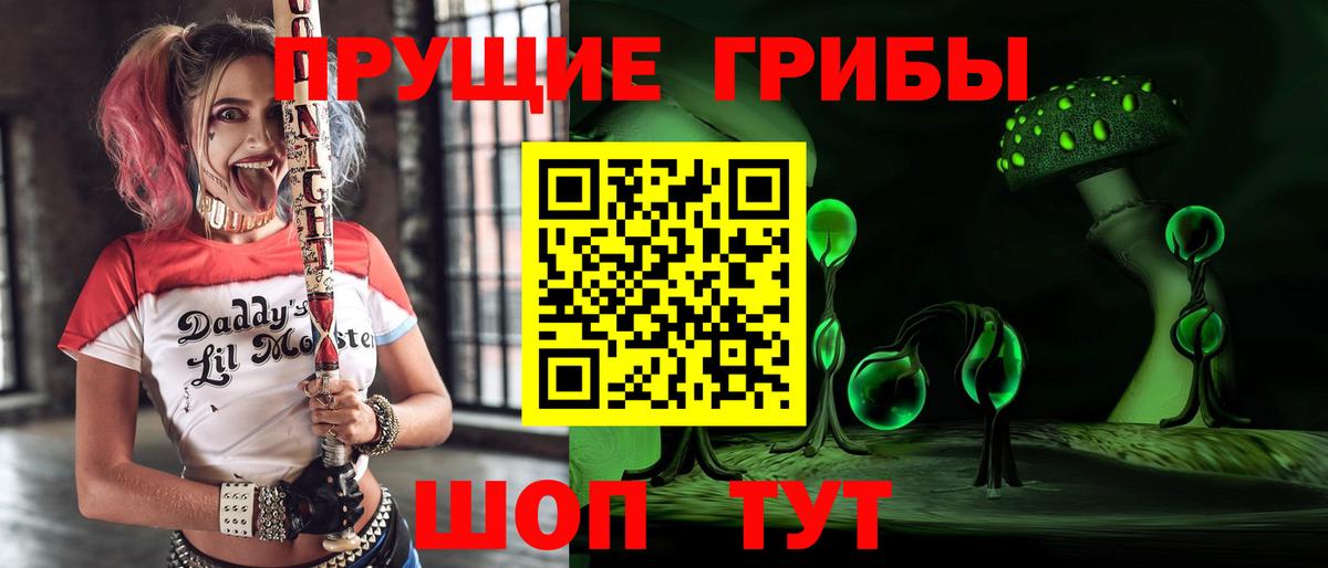 Псилоцибиновые грибы мухоморы Саяногорск